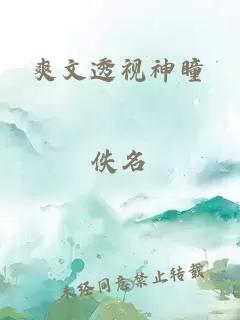 爽文透視神瞳