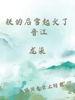朕的后宮起火了 晉江