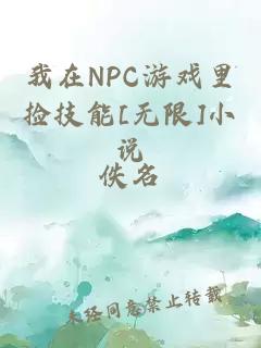 我在NPC游戲里撿技能[無(wú)限]小說(shuō)