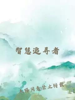 智慧追尋者
