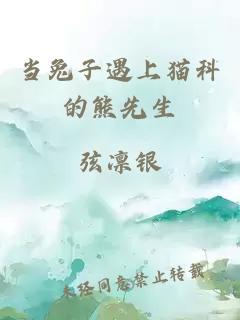 當(dāng)兔子遇上貓科的熊先生