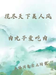 攬盡天下美人風