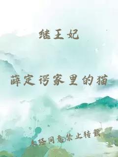 繼王妃