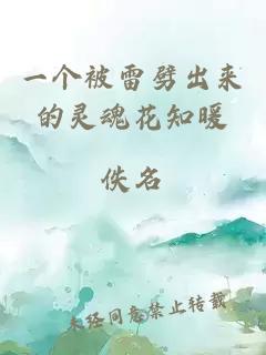 一個被雷劈出來的靈魂花知暖