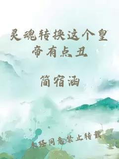 靈魂轉(zhuǎn)換這個(gè)皇帝有點(diǎn)丑
