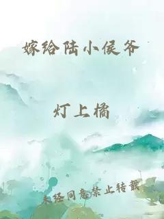 嫁給陸小侯爺