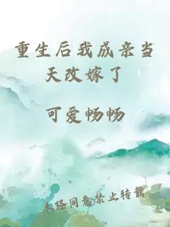 重生后我成親當(dāng)天改嫁了