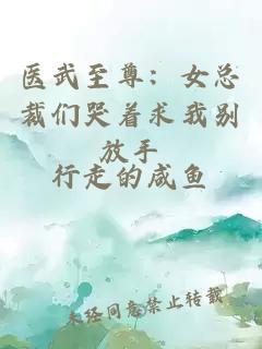醫(yī)武至尊：女總裁們哭著求我別放手