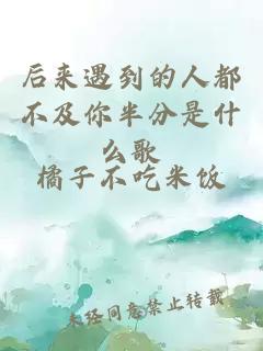 后來遇到的人都不及你半分是什么歌