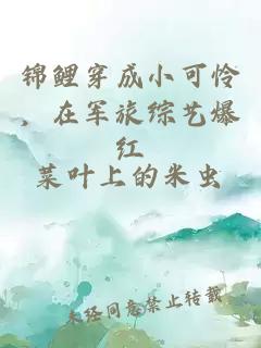 錦鯉穿成小可憐，在軍旅綜藝爆紅