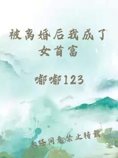 被離婚后我成了女首富