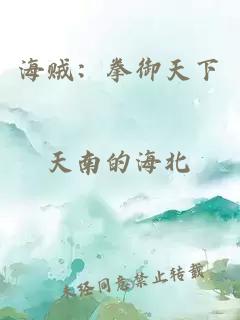 海賊：拳御天下