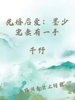 先婚后愛：墨少寵妻有一手