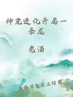 神寵進化開局一條龍