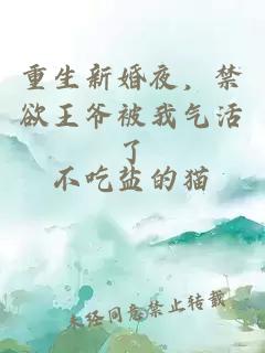 重生新婚夜，禁欲王爺被我氣活了