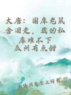 大唐：國(guó)庫(kù)老鼠含淚走，我的私庫(kù)堆不下