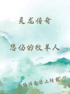 靈龍傳奇
