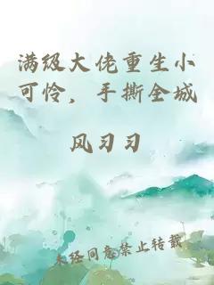 滿(mǎn)級(jí)大佬重生小可憐，手撕全城