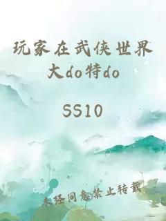 玩家在武俠世界大do特do