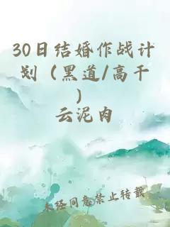 30日結(jié)婚作戰(zhàn)計(jì)劃（黑道/高干）