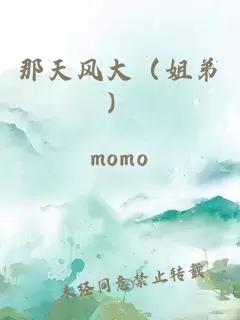 那天風(fēng)大（姐弟）