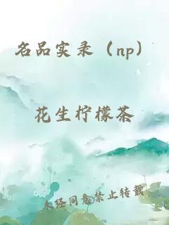 名品實(shí)錄（np）
