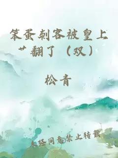 笨蛋刺客被皇上艸翻了（雙）