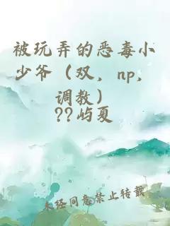 被玩弄的惡毒小少爺（雙，np，調(diào)教）