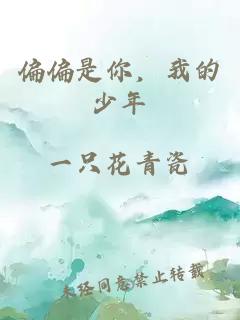 偏偏是你，我的少年