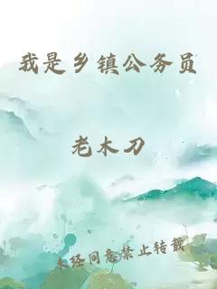我是鄉(xiāng)鎮(zhèn)公務(wù)員