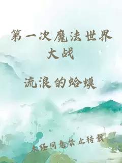 第一次魔法世界大戰(zhàn)