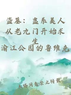 盜墓：蠱系美人從老九門開始求生