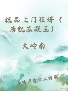 極品上門(mén)狂婿（唐凱蘇凝玉）