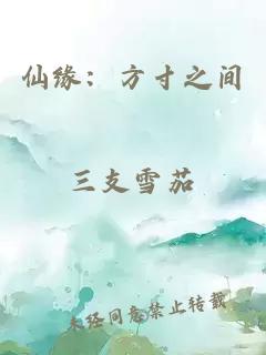 仙緣：方寸之間