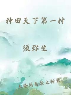 種田天下第一村