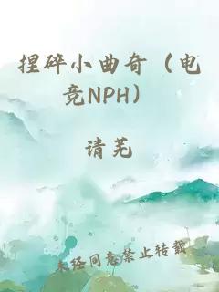 捏碎小曲奇（電競NPH）