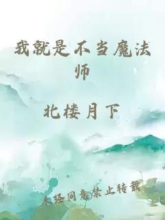 我就是不當(dāng)魔法師