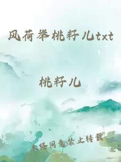風(fēng)荷舉桃籽兒txt