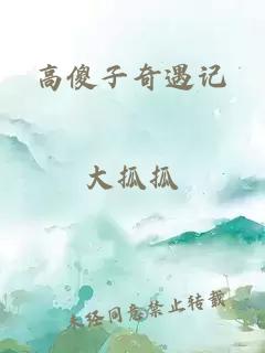 高傻子奇遇記