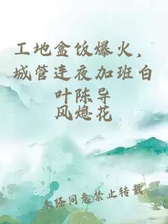 工地盒飯爆火，城管連夜加班白葉陳導(dǎo)