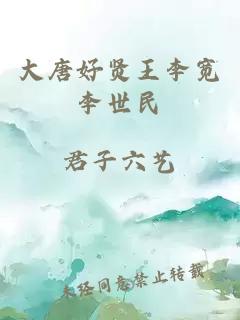 大唐好賢王李寬李世民