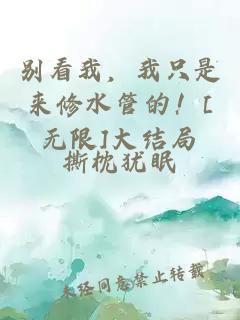 別看我，我只是來修水管的！[無限]大結(jié)局